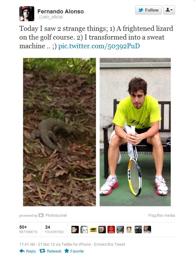 twitter_alonso